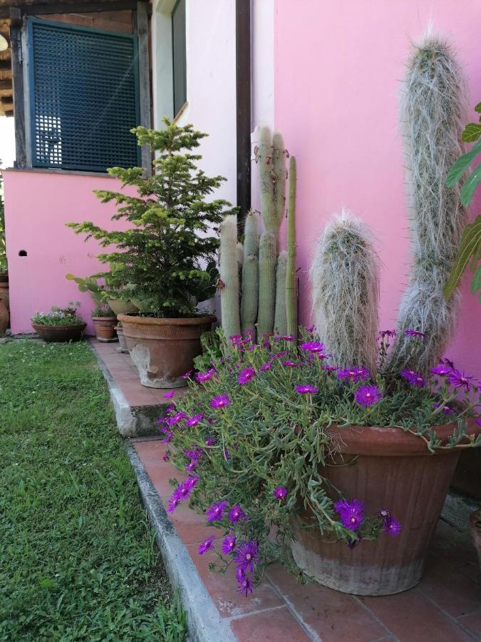 Agriturismo Campolungo Sant'Ermo Exterior photo