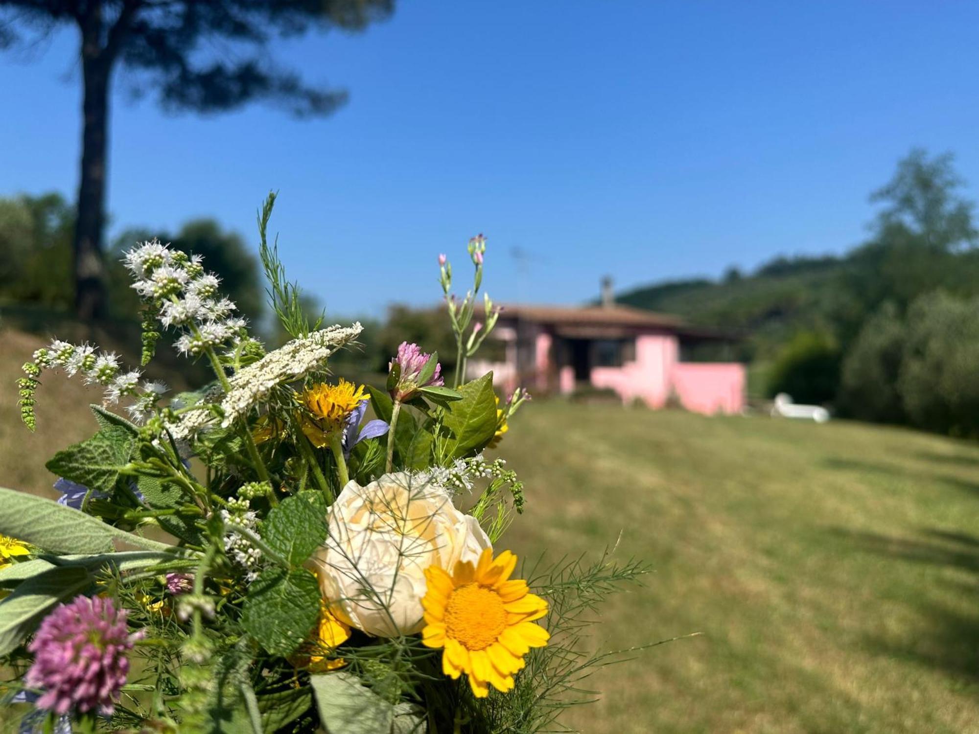 Agriturismo Campolungo Sant'Ermo Exterior photo